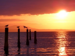 Rest Easy with the Whidbey Island Threshold Singers @ Langley | Washington | United States